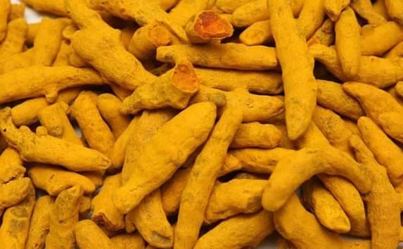 Raw Turmeric Fingers